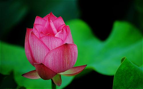 http://traiquangninh.wap.sh
